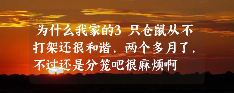 为什么我家的3只仓鼠从不打架还很和谐,两个多月了,不过还是分笼吧很麻烦啊