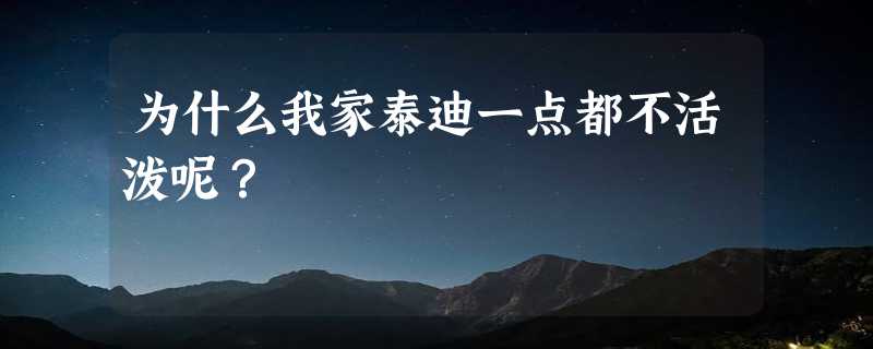 为什么我家泰迪一点都不活泼呢？