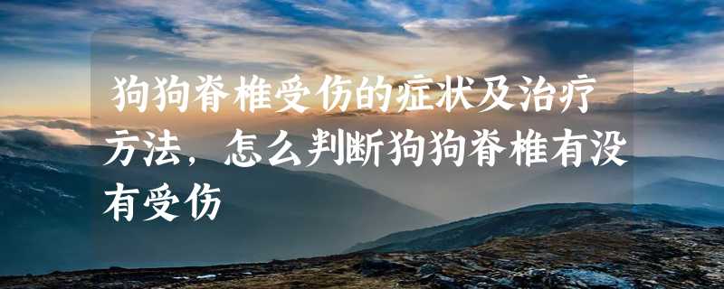 狗狗脊椎受伤的症状及治疗方法,怎么判断狗狗脊椎有没有受伤