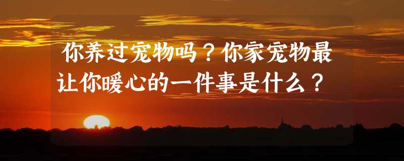 你养过宠物吗？你家宠物最让你暖心的一件事是什么？