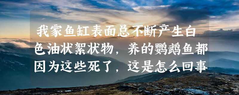 我家鱼缸表面总不断产生白色油状絮状物，养的鹦鹉鱼都因为这些死了，这是怎么回事，请高手帮忙！！