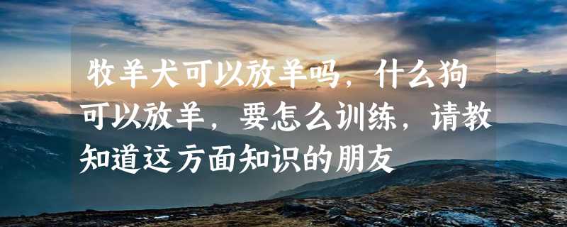 牧羊犬可以放羊吗，什么狗可以放羊，要怎么训练，请教知道这方面知识的朋友