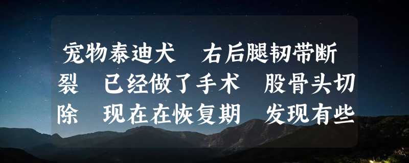 宠物泰迪犬 右后腿韧带断裂 已经做了手术 股骨头切除 现在在恢复期 发现有些萎缩 医生说正常 我现