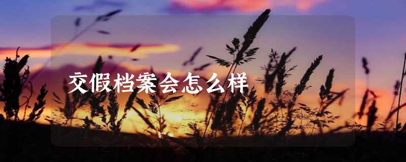 交假档案会怎么样