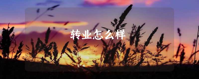 转业怎么样