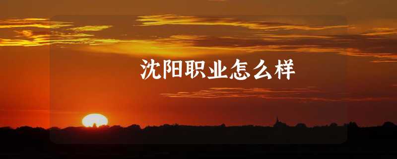 沈阳职业怎么样