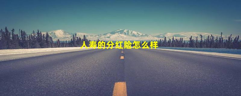 人寿的分红险怎么样