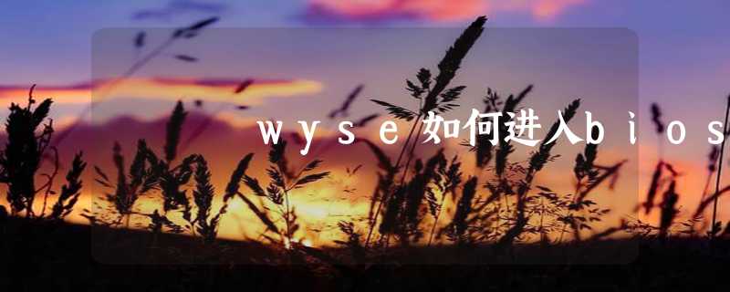 wyse如何进入bios