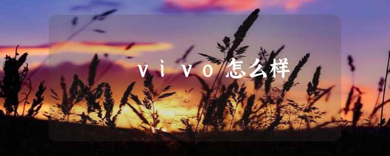 vivo怎么样