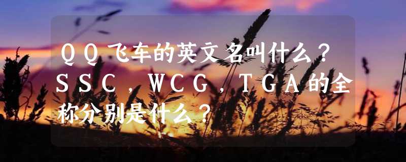 QQ飞车的英文名叫什么？SSC，WCG，TGA的全称分别是什么？