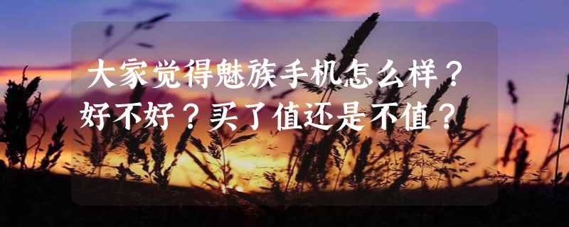 大家觉得魅族手机怎么样？好不好？买了值还是不值？