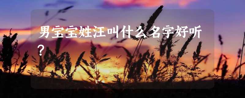 男宝宝姓汪叫什么名字好听？