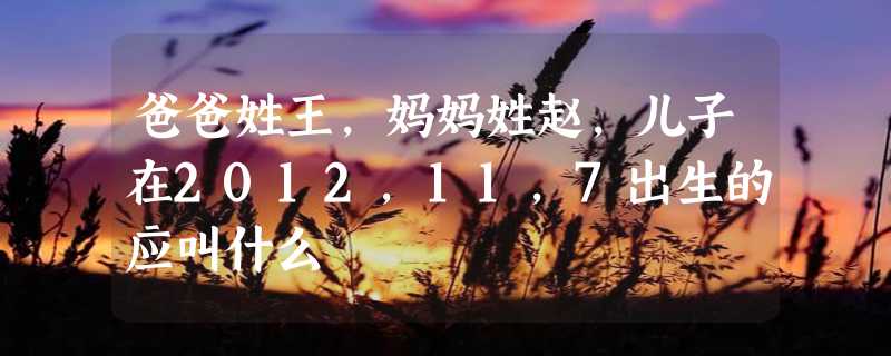 爸爸姓王，妈妈姓赵，儿子在2012，11，7出生的应叫什么