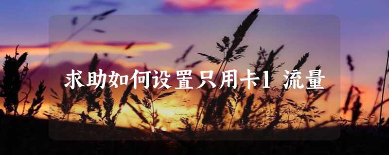 求助如何设置只用卡1流量