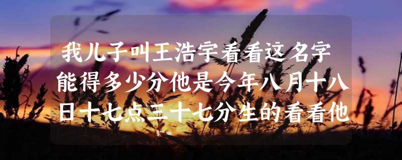 我儿子叫王浩宇看看这名字能得多少分他是今年八月十八日十七点三十七分生的看看他八字好不