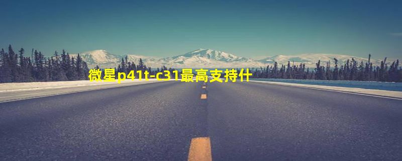 微星p41t-c31最高支持什么显卡？