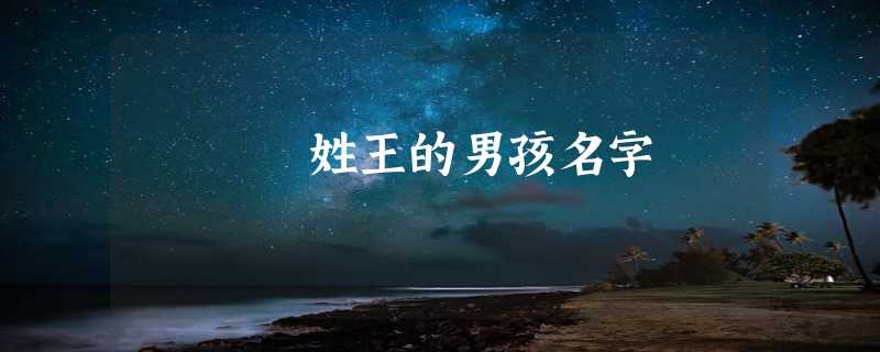 姓王的男孩名字