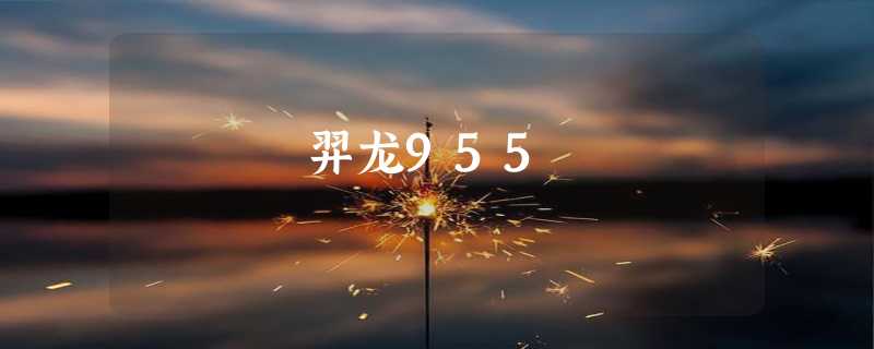 羿龙955