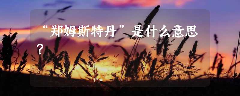 “郑姆斯特丹”是什么意思？