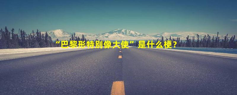 “巴黎形特别像大使”是什么梗？