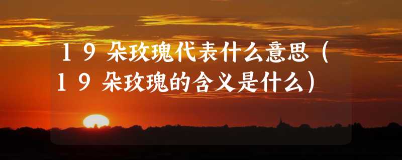 19朵玫瑰代表什么意思（19朵玫瑰的含义是什么）