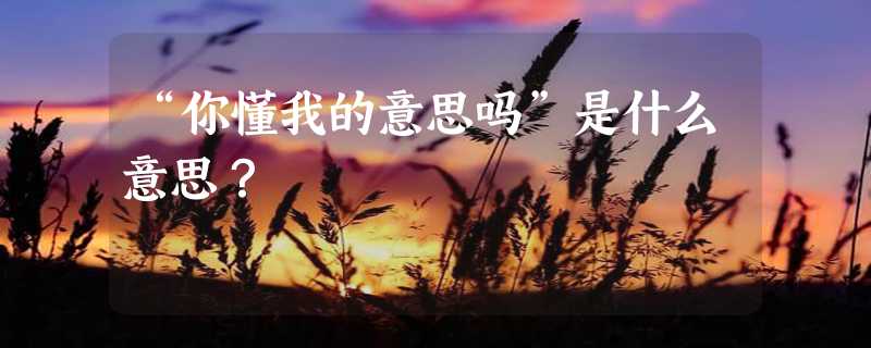 “你懂我的意思吗”是什么意思？