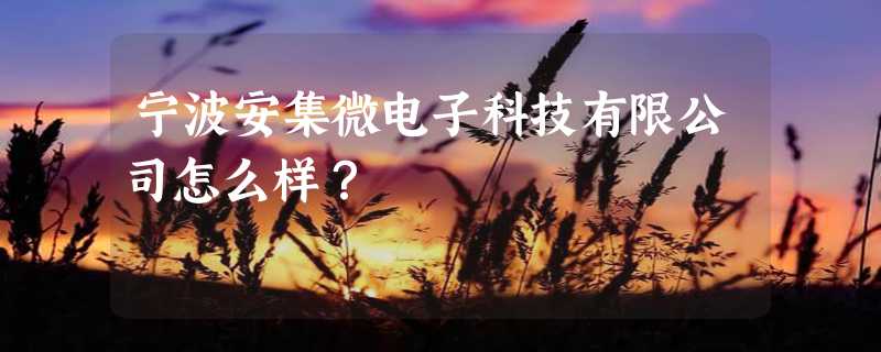 宁波安集微电子科技有限公司怎么样？