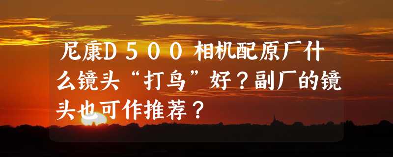 尼康D500相机配原厂什么镜头“打鸟”好？副厂的镜头也可作推荐？