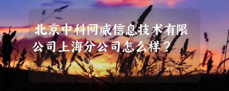 北京中科网威信息技术有限公司上海分公司怎么样？