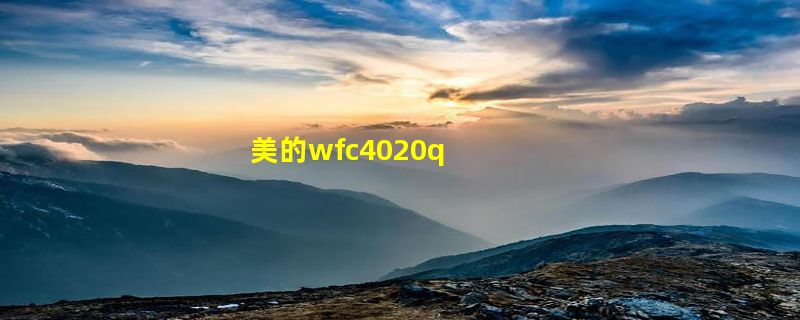 美的wfc4020q