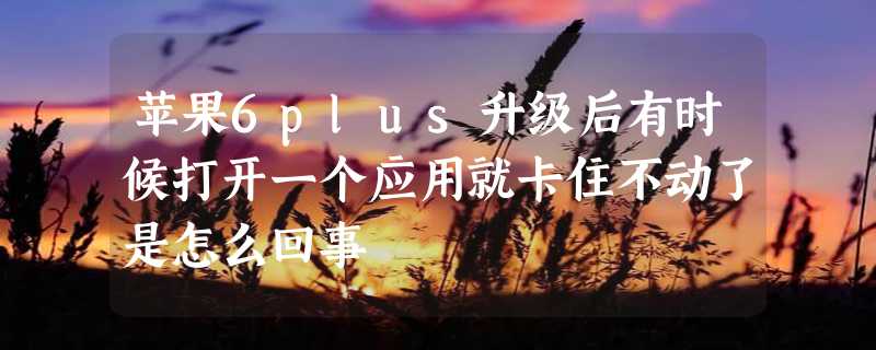 苹果6plus升级后有时候打开一个应用就卡住不动了是怎么回事