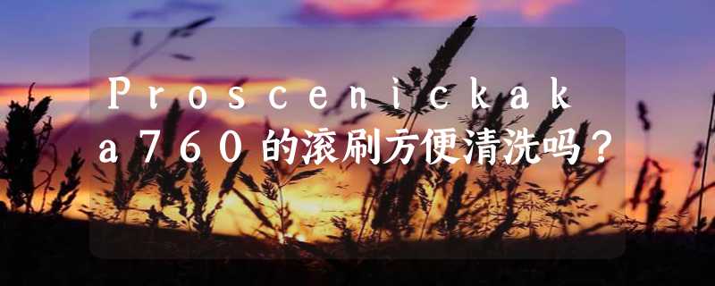 Proscenickaka760的滚刷方便清洗吗？