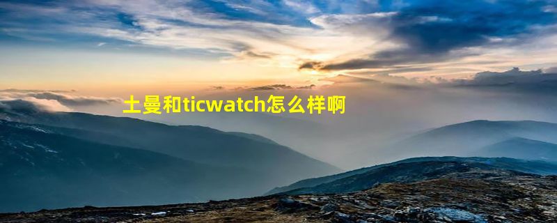 土曼和ticwatch怎么样啊？该怎么选择啊？