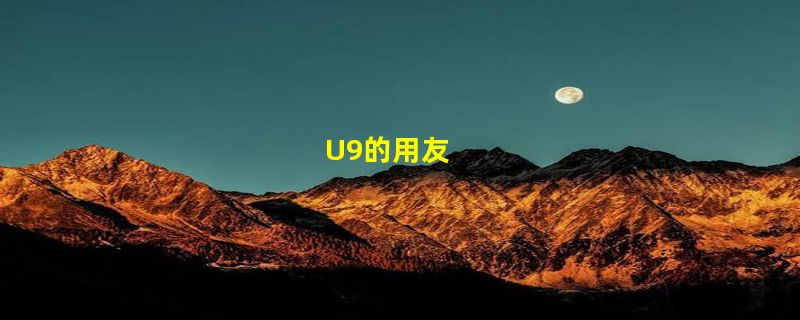 U9的用友