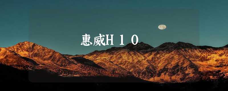 惠威H10