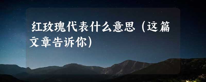 红玫瑰代表什么意思（这篇文章告诉你）