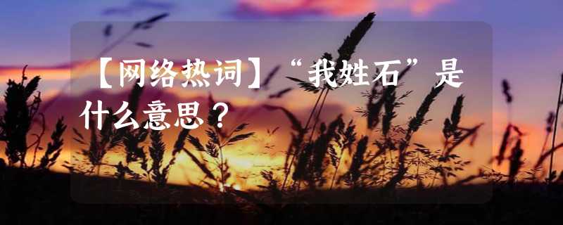 【网络热词】“我姓石”是什么意思？