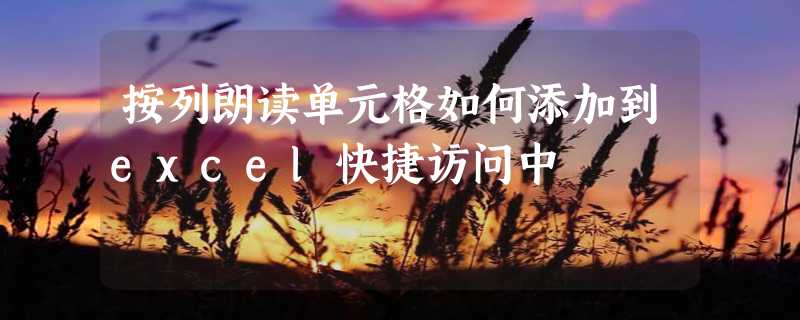 按列朗读单元格如何添加到excel快捷访问中