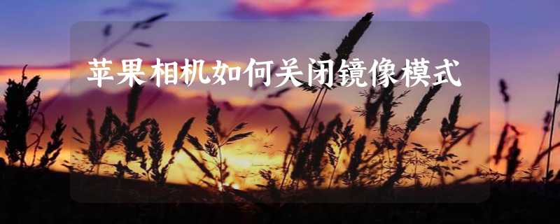 苹果相机如何关闭镜像模式