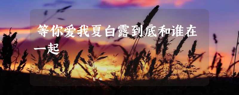 等你爱我夏白露到底和谁在一起