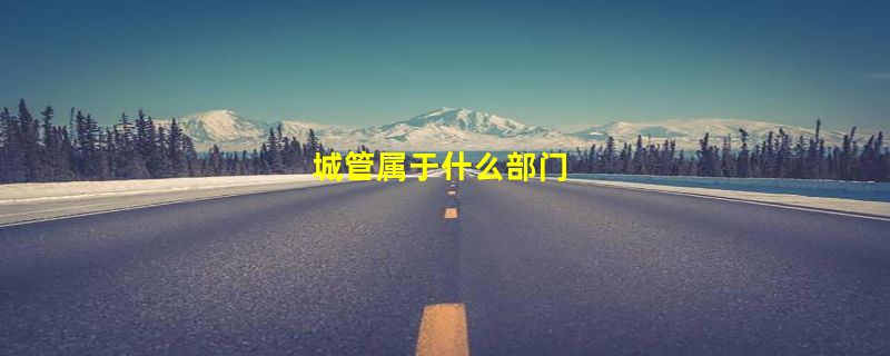 城管属于什么部门