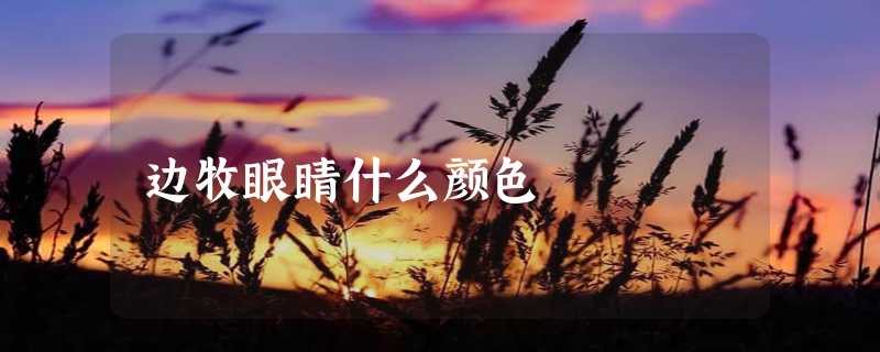 边牧眼睛什么颜色