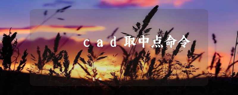 cad取中点命令