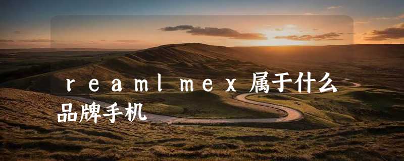 reamlmex属于什么品牌手机