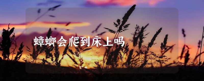 蟑螂会爬到床上吗