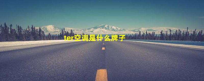 ter空调是什么牌子