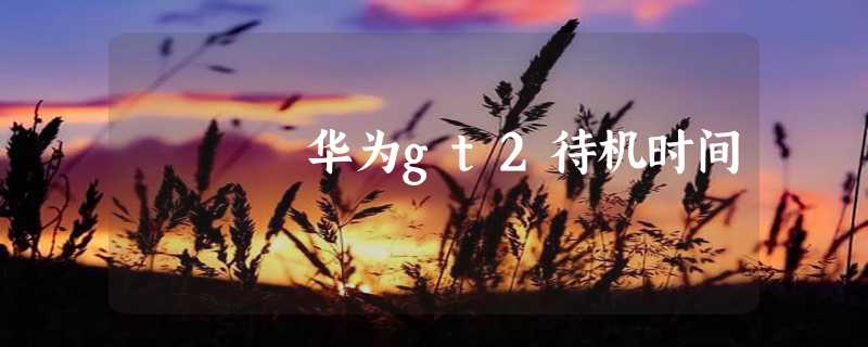 华为gt2待机时间