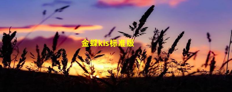 金蝶kis标准版