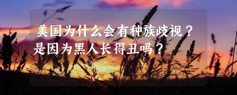 美国为什么会有种族歧视？是因为黑人长得丑吗？