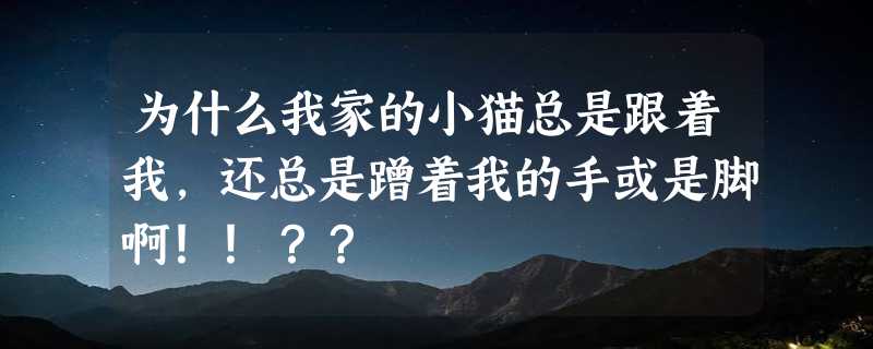 为什么我家的小猫总是跟着我，还总是蹭着我的手或是脚啊！！？？